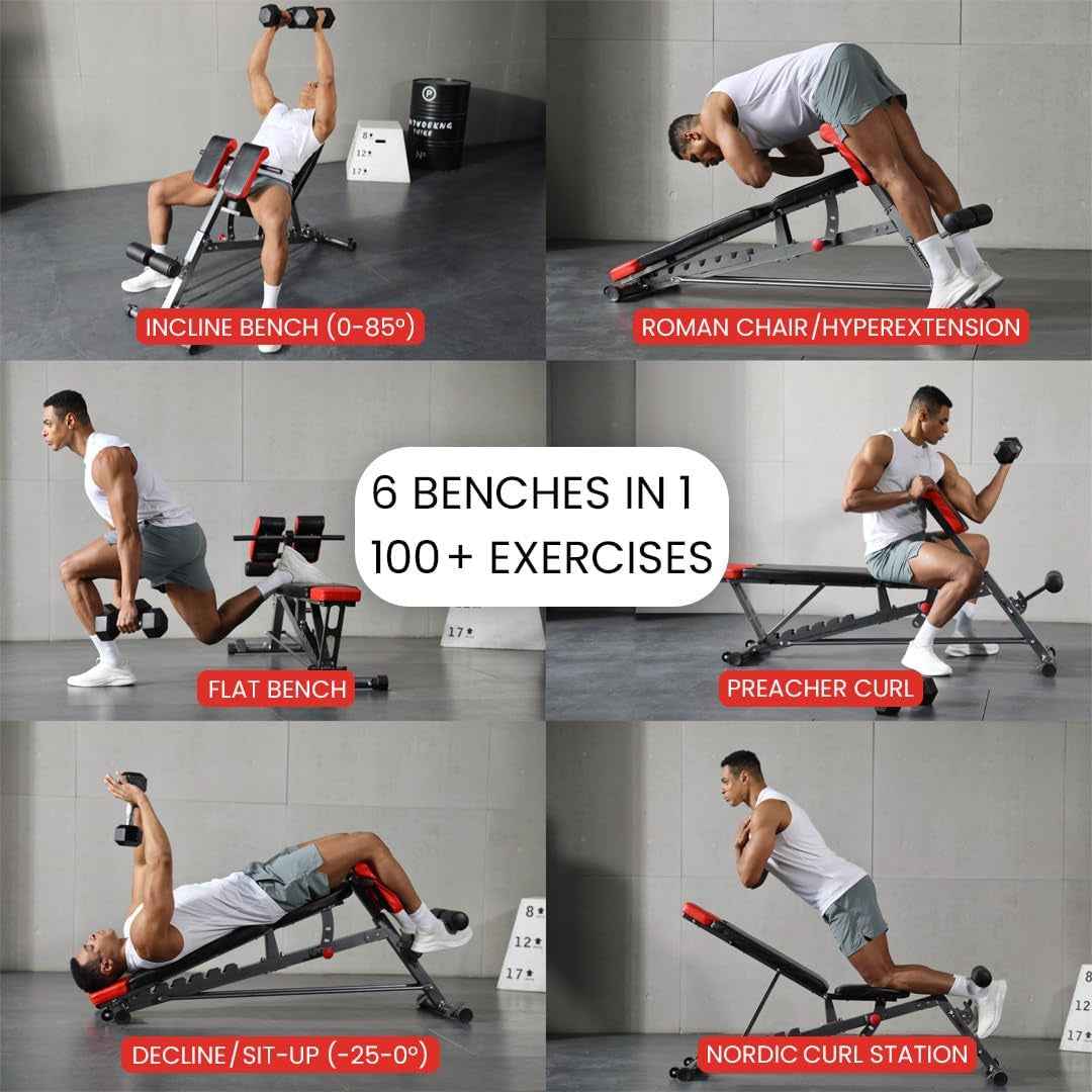 Multi-Functional FID Weight Bench for Full All-In-One Body Workout – Hyper Back Extension, Roman Chair, Adjustable Ab Sit up Bench, Incline Decline Bench, Flat Bench - Clickitcome