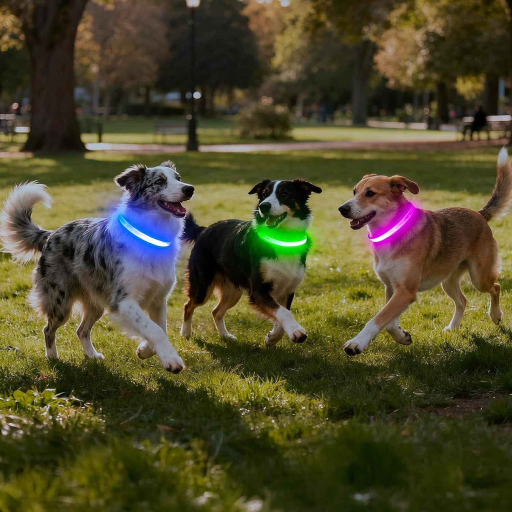 LED Dog Collar, Light up Dog Collar Adjustable USB Rechargeable Super Bright Safety Light Glowing Collars for Dog(Small,Green) - Clickitcome