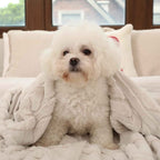 Faux Fur Throw Blanket for Couch, Jacquard Fuzzy Plush Soft Thick Winter Throw Blanket for Sofa Bed Living Room Bedroom，60"X80" Beige - Clickitcome